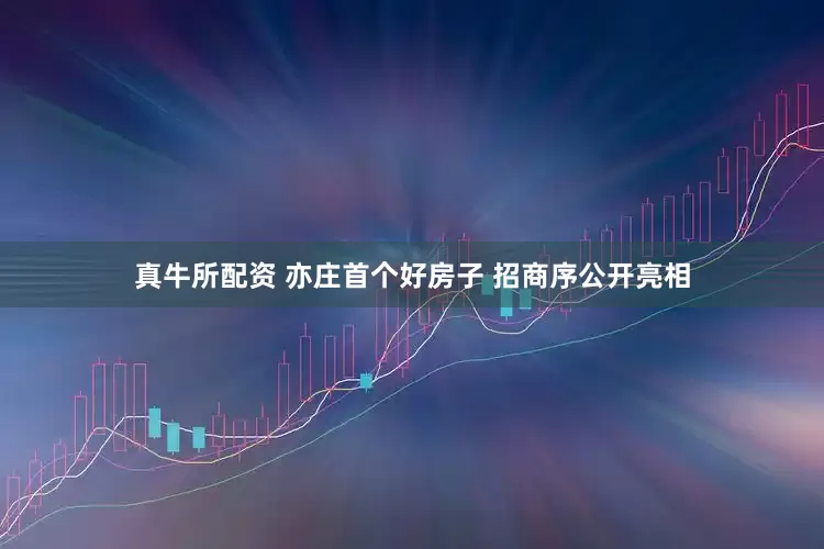 真牛所配资 亦庄首个好房子 招商序公开亮相