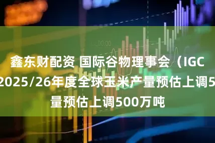 鑫东财配资 国际谷物理事会（IGC）：将2025/26年度全球玉米产量预估上调500万吨