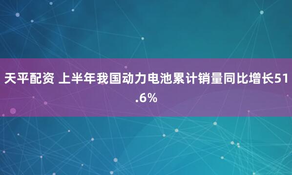 天平配资 上半年我国动力电池累计销量同比增长51.6%