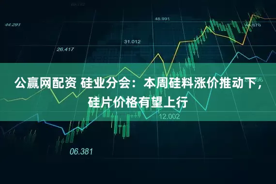 公赢网配资 硅业分会：本周硅料涨价推动下，硅片价格有望上行
