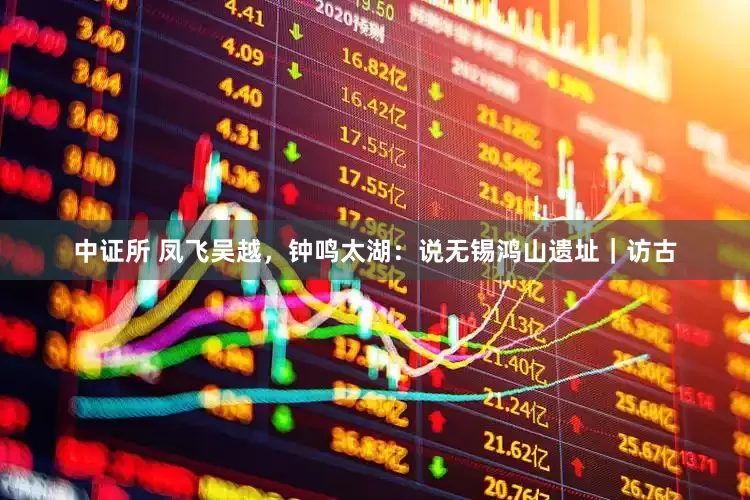 中证所 凤飞吴越，钟鸣太湖：说无锡鸿山遗址｜访古