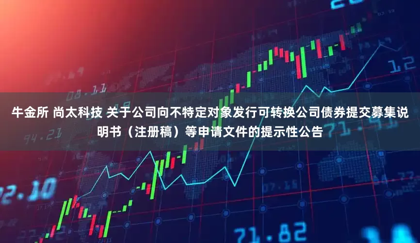 牛金所 尚太科技 关于公司向不特定对象发行可转换公司债券提交募集说明书（注册稿）等申请文件的提示性公告