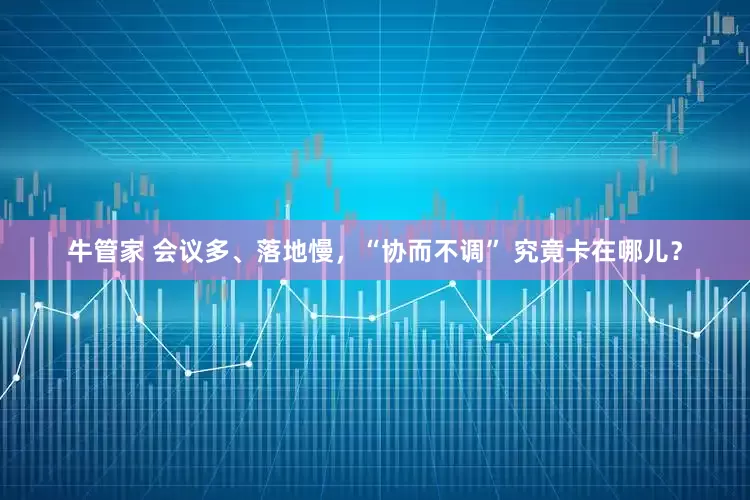 牛管家 会议多、落地慢,“协而不调” 究竟卡在哪儿?